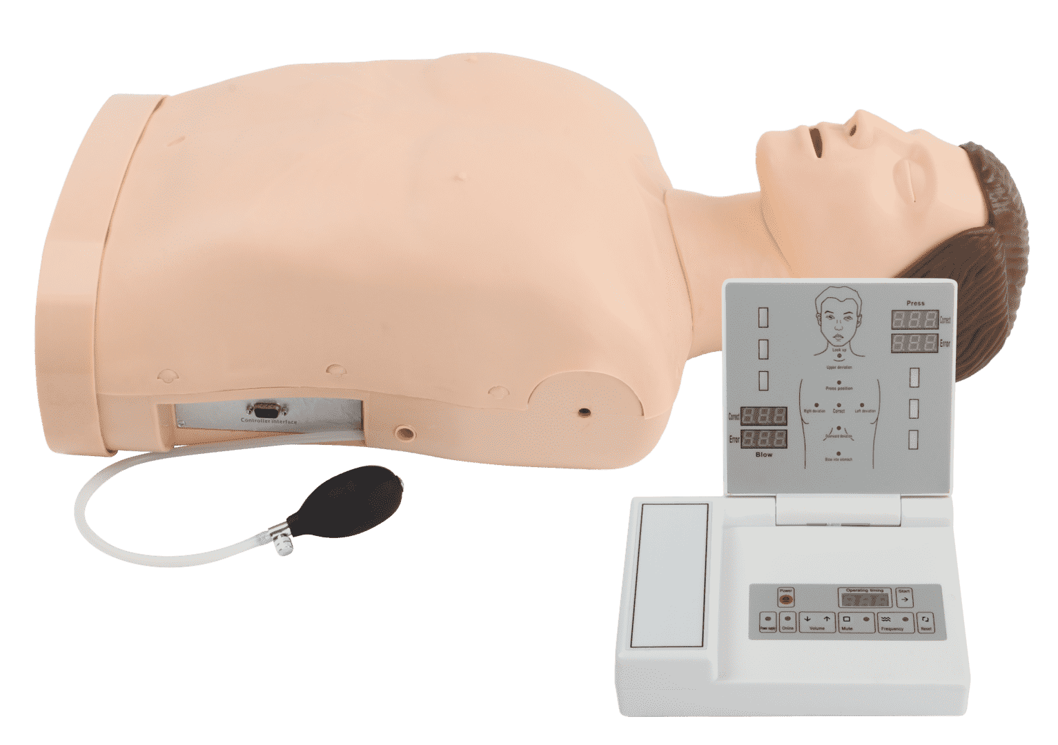 Half Body CPR Training Manikin (Counting)